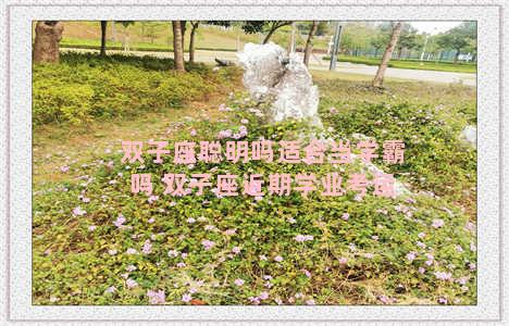 双子座聪明吗适合当学霸吗 双子座近期学业考运